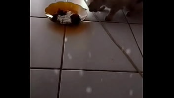 Gadis Misterius Yang Menggoda