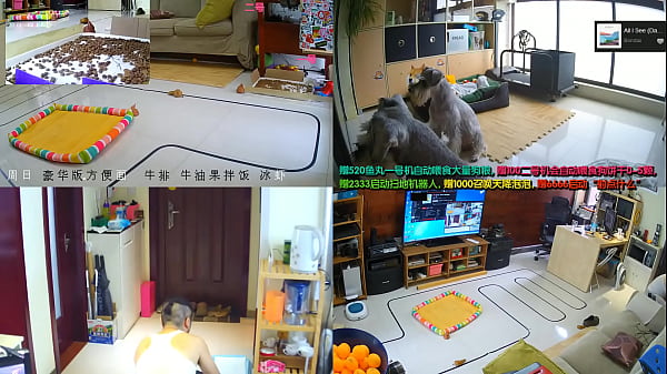 Bokep Indo Live